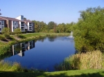 The Vineyards Apartments 440-237-3911 – Broadview Heights, Ohio. Enjoy a quieter lifestyle on our 13-acre park-like atmosphere of rolling hills, mature trees and a stocked picturesque pond. Our spacious apartment homes offer every convenience and easy access